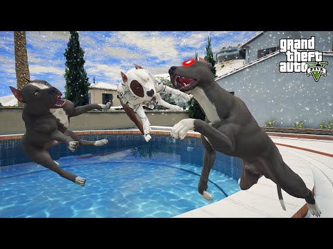 TERMİNATÖR SONUNDA UYANDI VE BABA MODUNU AÇTI! HERKES KAÇSIN! - GTA 5