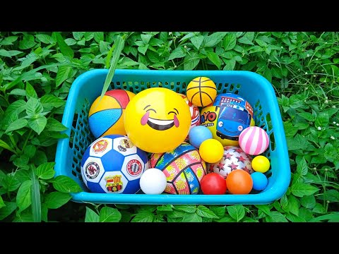 Mencari Bola Basket, Bola Sepak, Bola Karakter, Bola Warna Warni, ikan, Mobilan, Popit, Tayo, Balon