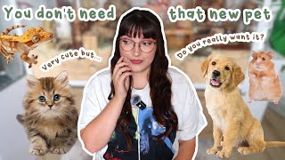 Getting new pets can be addictive - lets talk about it!