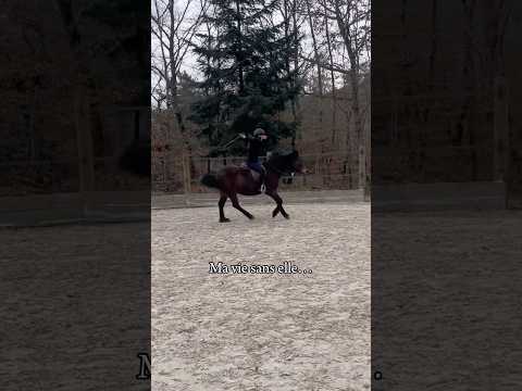 Elle me manque trop…