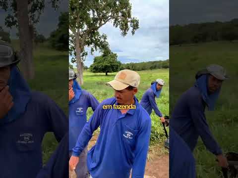 Consultoria presencial com o Cordeiro