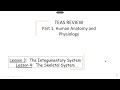 Human Body Systems and Functions