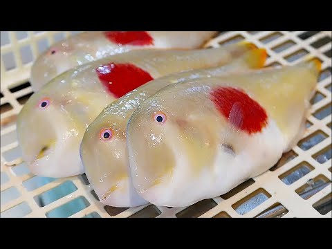 Japanese Street Food - JAPANESE FLAG FISH Okinawa Seafood Japan