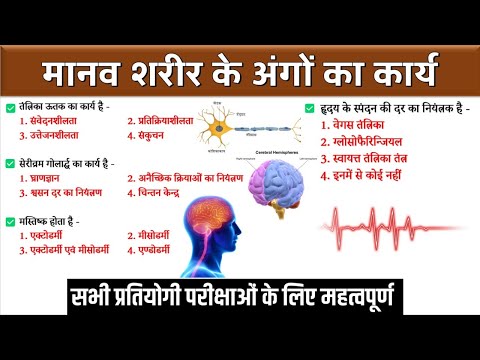 Human body organs in hindi || मानव शरीर के अंग व उनके कार्य ||  | Science gk | Ashish Sir Study91