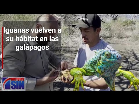 #SINyMuchoMás: Iguana, China y gobierno