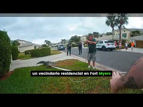 GIGANTESCO CAIMAN EN LA PUERTA DE UNA CASA