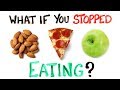 Understanding the Role of Food in the Human Body