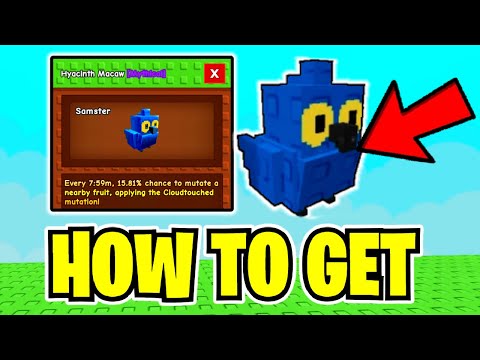 How To GET HYACINTH MACAW & SHOWCASE In GROW A GARDEN! (FULL GUIDE) ROBLOX