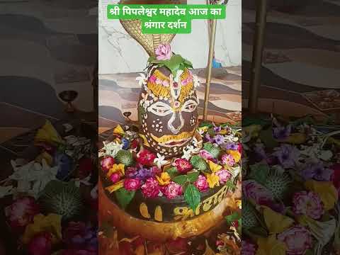 श्री पिपलेश्वर महादेव आज का श्रंगार दर्शन
