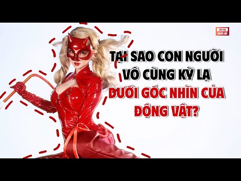 Tại sao con người, vô cùng kỳ lạ dưới góc hình của động vật? | THKT 037