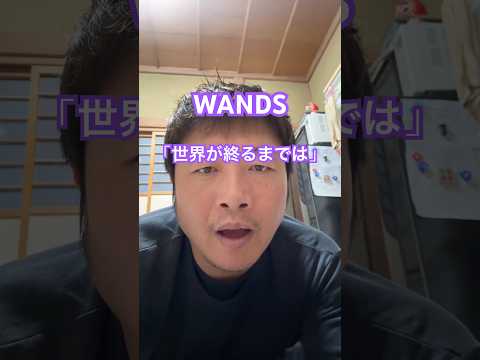WANDS 「世界が終るまでは」