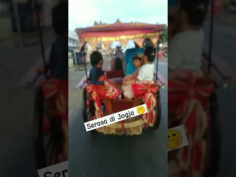 perdananya Ayuk Celin naik delman #hiburan #delmanistimewa #delman #senangsenang