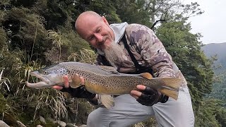 Backcountry Fly Fishing New Zealand, What It's Really Like 