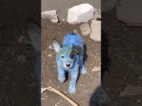 КАК ТАК ВООБЩЕ МОЖНО??
