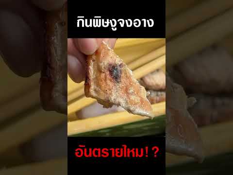 ทดลองกินพิษงูจงอางอันตรายไหม!!djpoomดีเจภูมิคนหัวครัว