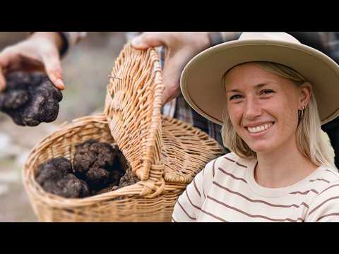 TRUFFES : voyage culinaire à la découverte du Diamant Noir - Les maitres de la truffe - AMP