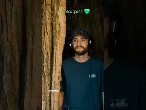 nature sound hearing machine|#shorts #machine #premadeewanaofficial