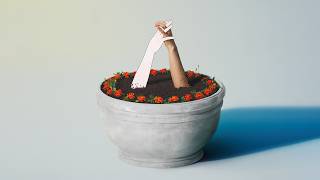 マリーゴールド (Cover) / あいみょん【なれたん】