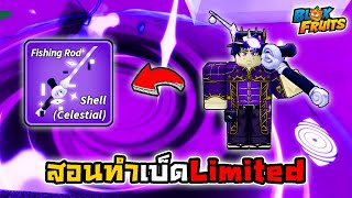 👑Roblox💀Blox Fruits สอนวิธีทำเบ็ดLimited Shell Celestial!!