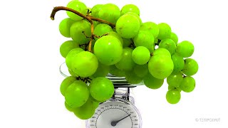 Rotting Grapes on Scale Time Lapse