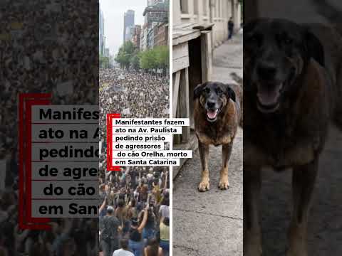 Manifestantes fazem ato na Av. Paulista pedindo prisão de agressores do cão Orelha, morto em Santa.