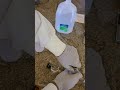 Chemical Reactions and Solutions