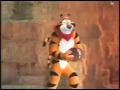 Understanding the Tiger Identity and Values