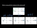 Amino Acids and Their Properties