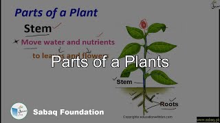 Parts of a Plants
