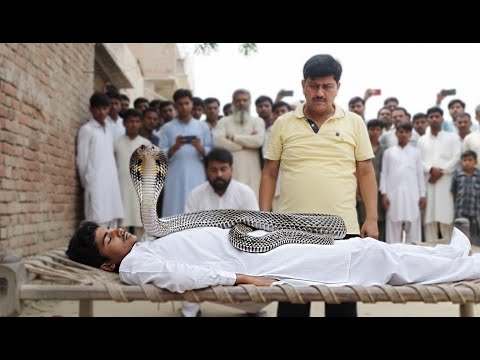 इस मासूम की मौत का जिम्मेदार कौन? Cobra काटने के बाद ख़ुद पहुँचा डॉक्टर के पास फिर भी नहीं बची जान!