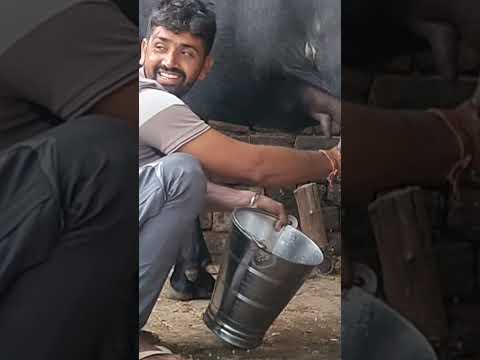 फुल वीडियो Nehra vlogs यूट्यूब चैनल पर/village lifestyle/Indian  culture #viral #shorts #trending