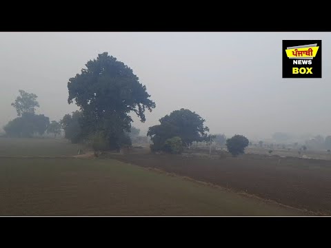 ਪੰਜਾਬ 'ਚ ਇਸ ਦਿਨ ਮੀਂਹ ਪੈਣ ਦੀ ਹੋ ਗਈ ਭਵਿੱਖਬਾਣੀ Weather information of Punjab Today | Punjabi News Box