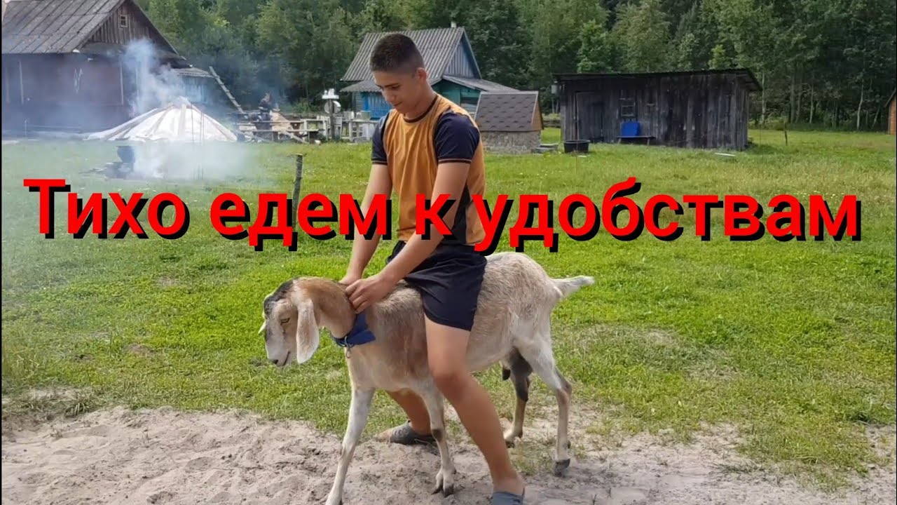Лето всё короче! Хоть бы не зимовать на земляных полах. Реставрация продолжается и планы меняются.