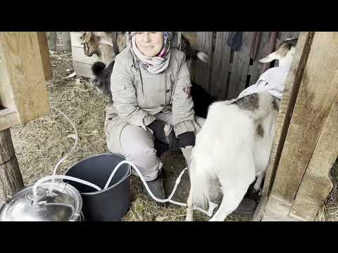 Natalia hat kein Wochenende