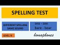Spelling and Homophones Assessment