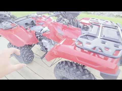 680 Rincon vs. Rubicon 700 Comparison