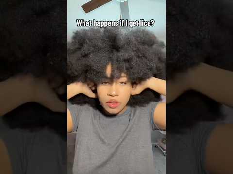THIS will happen if i get lice in my Afro😬🪳#afro #hair #licepicking