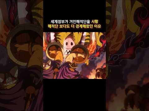 최신화)세계정부가 거인해적단을 사황해적단 보다도 더 경계해왔던 이유  #onepiece  #원피스