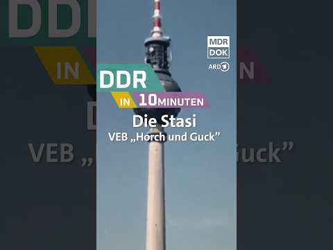 Die Stasi - VEB 