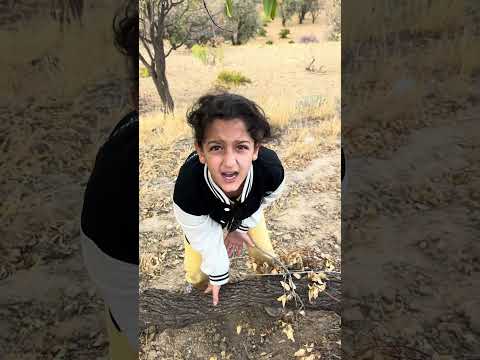 DAVUT SAHİN VİDEOLARI ABONE OLMAYI UNUTMAYIN