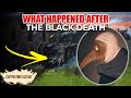 The Black Plague: Impact and Consequences