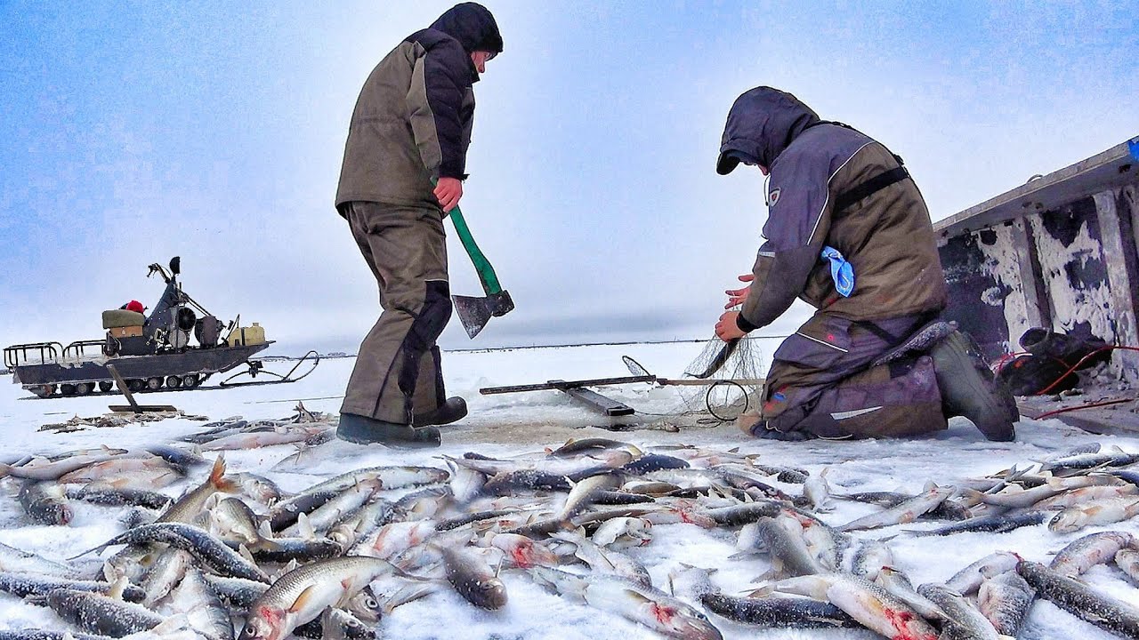 Рыбалка чтобы выжить! Одна лунка 100 крокодилов! Рыбалка в заполярье часть 9