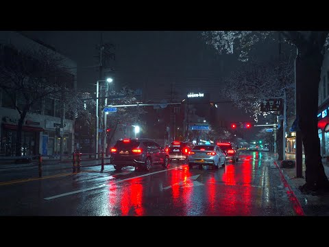 [4K. Rain Walk] 비 오는 밤, 비에 젖은 벚꽃잎과 잊지 못할 감성 산책. 부드러운 빗소리 ASMR