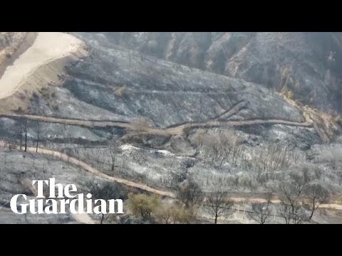 Drone footage shows mountains in Algeria scorched by wildfires