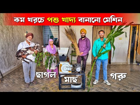 Goat Fish Cow Feed Making Machine | বিনা খরচে পশু খাদ্য বানানোর মেশিন | Animal Feed Making Machine