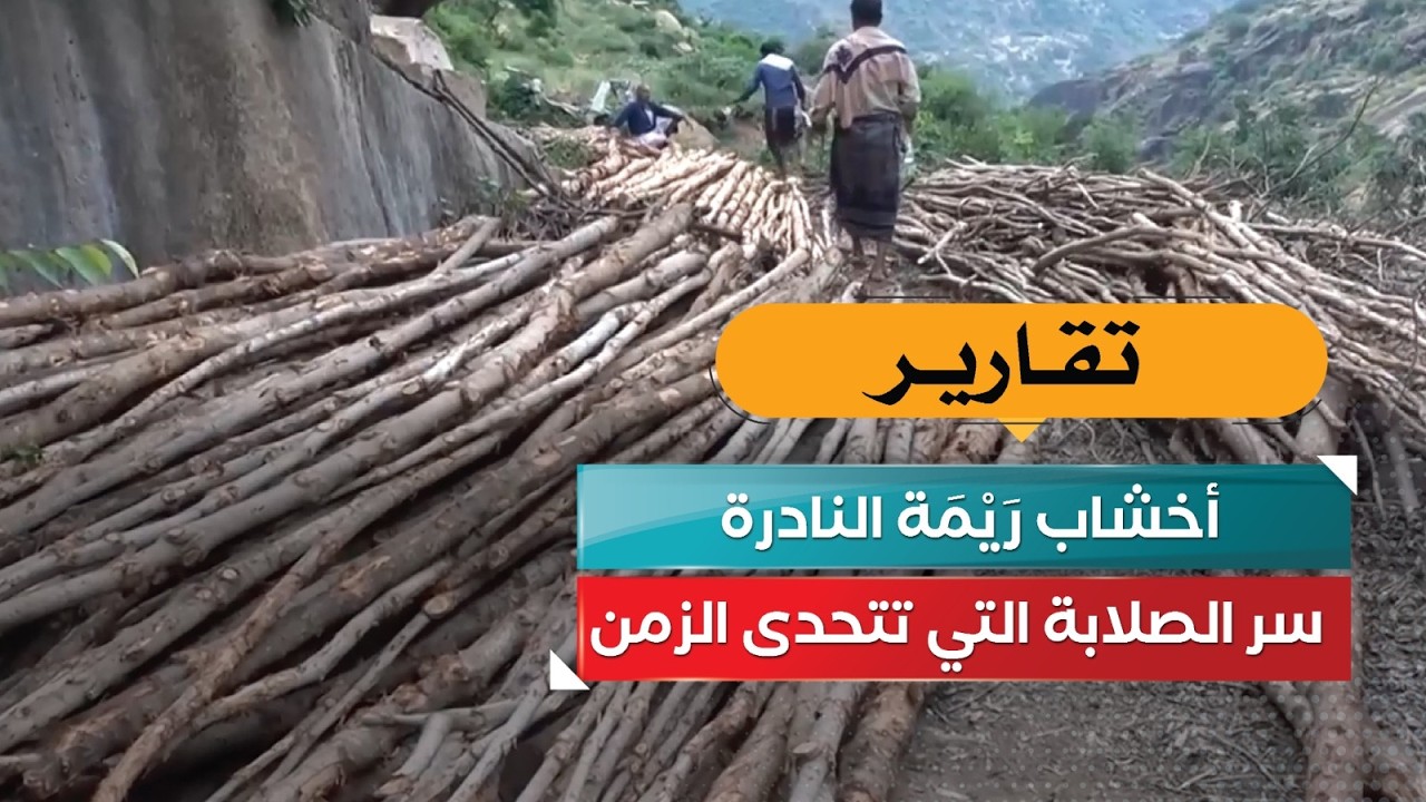 قناة السعيدة