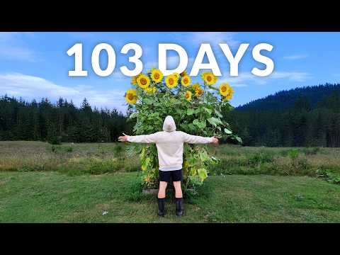 I Grew Giant Sunflowers | Time-lapse