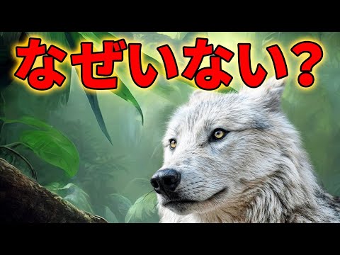 南米にオオカミがいない理由がこちら【解説動画】