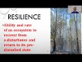 Ecosystem Resilience and Disturbances