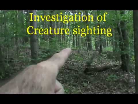 Ohio Grassman Legend:   Bigfoot Stalking Us?